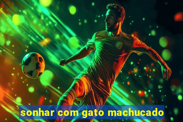 sonhar com gato machucado